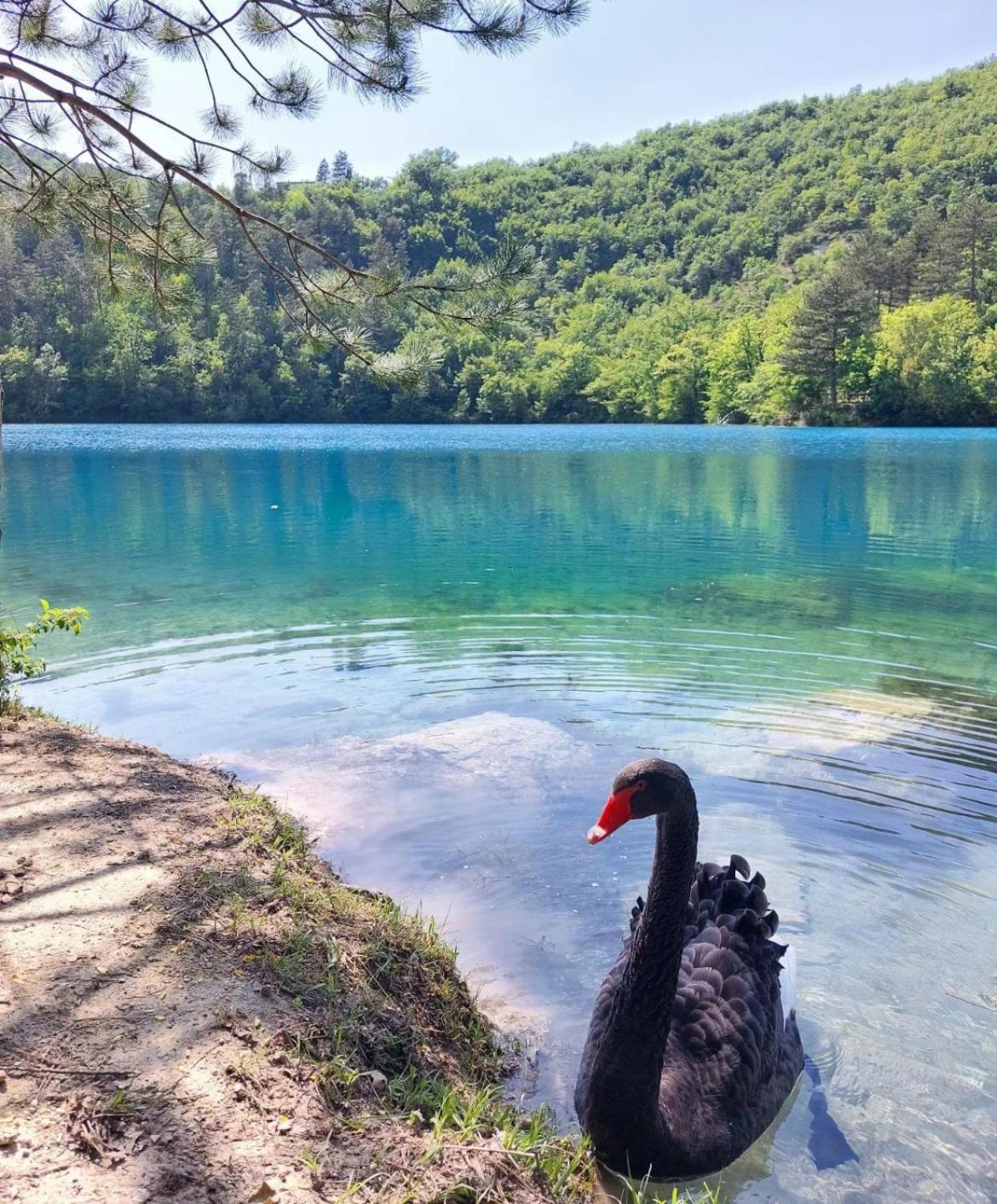 Locanda Della Pieve Pievebovigliana Dış mekan fotoğraf